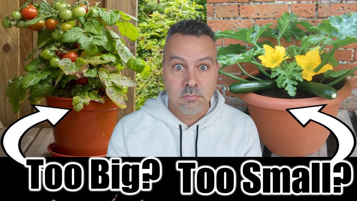 California Garden TV: How to Grow Vegetables in Containers // Container Gardening How to Grow Vegetables in Containers // Container Gardening