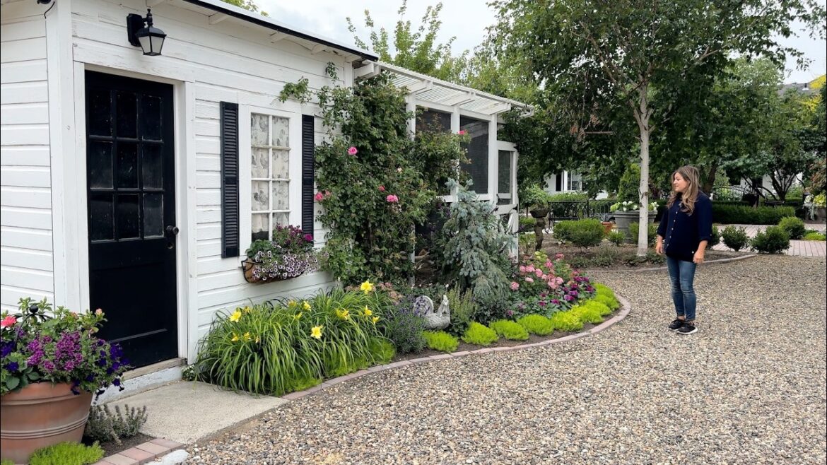 Garden Answer: (FIXED) Full June Garden Tour! 🥰🌻🌿 // Garden Answer (FIXED) Full June Garden Tour! 🥰🌻🌿 // Garden Answer