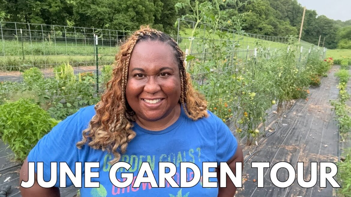 FULL GARDEN TOUR- June | Zone 7