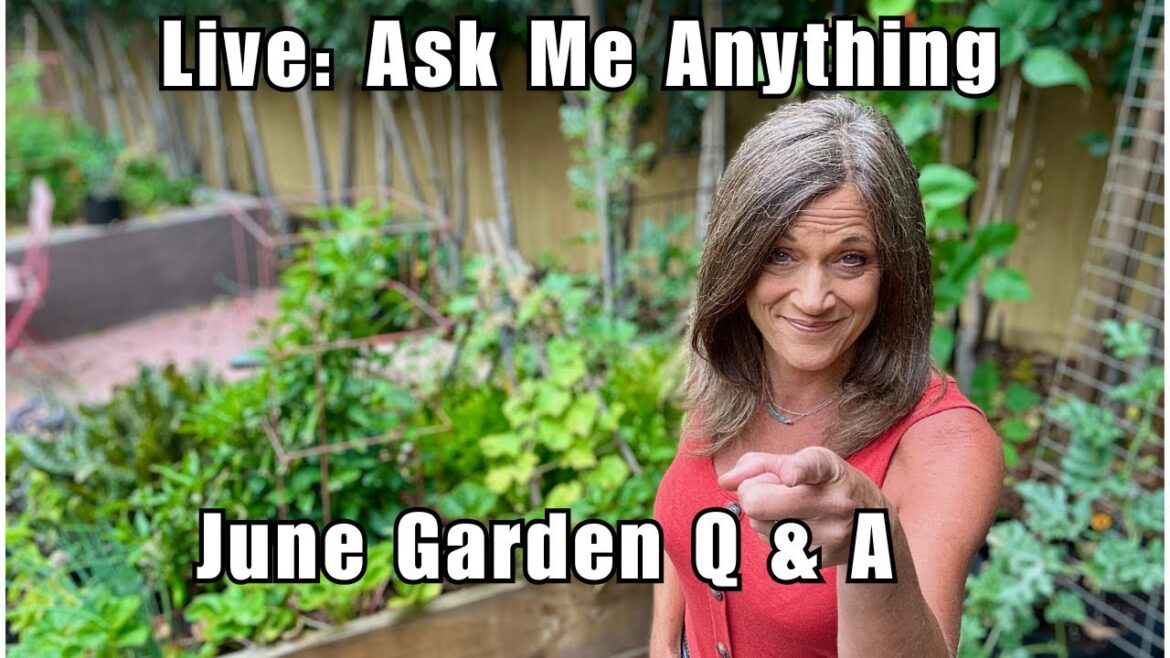 🍅LIVE: Ask Me Anything: June Garden Q & A