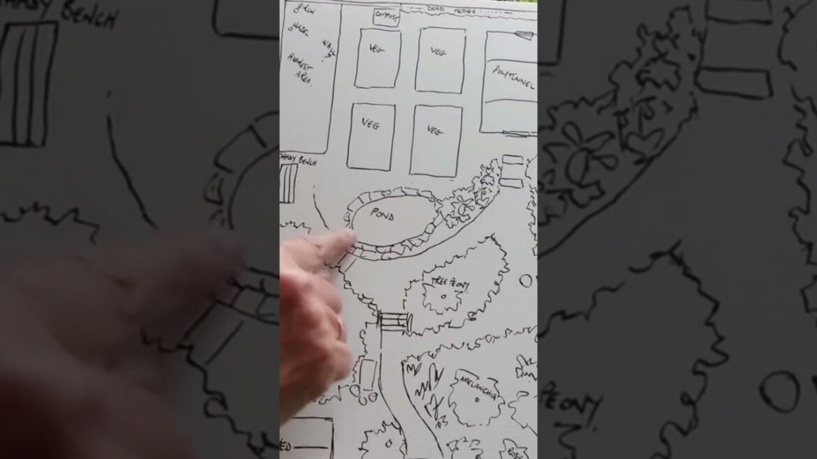 Exciting changes in Marion’s Garden! #gardening #plans #growyourownfood Exciting changes in Marion's Garden! #gardening #plans #growyourownfood