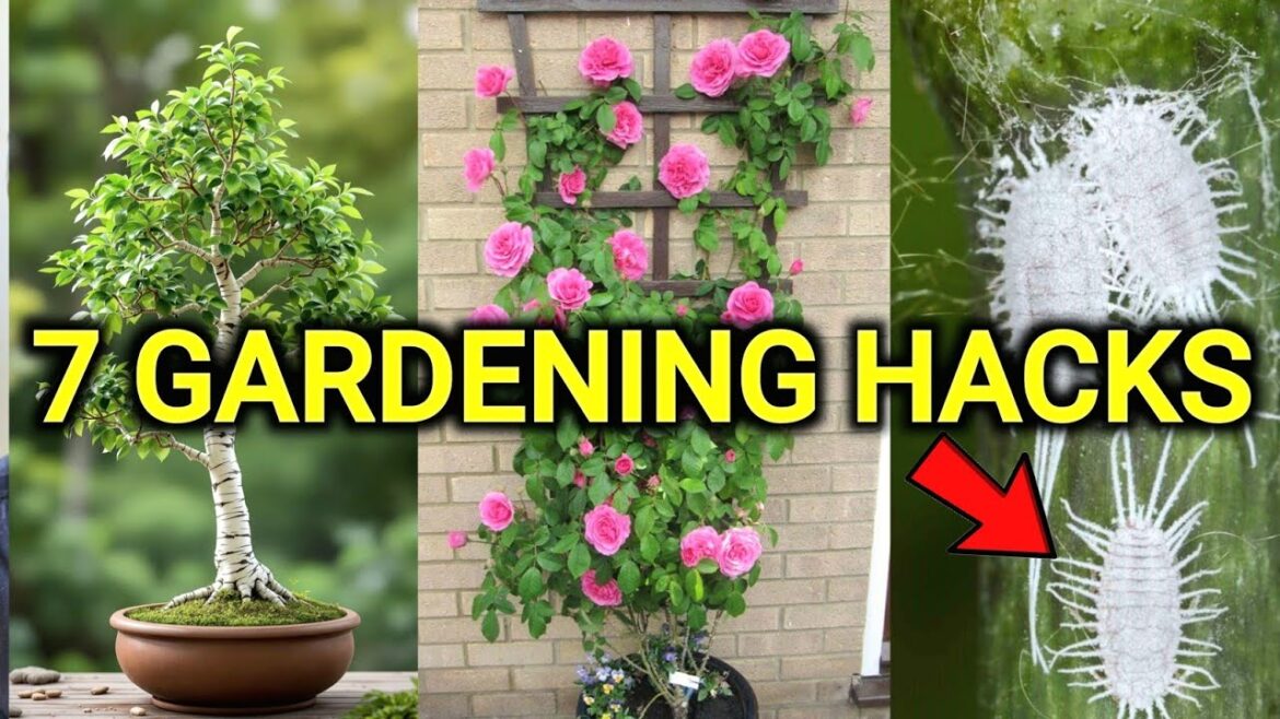 7 easy diy ideas for your garden | Gardening tips for Beginners