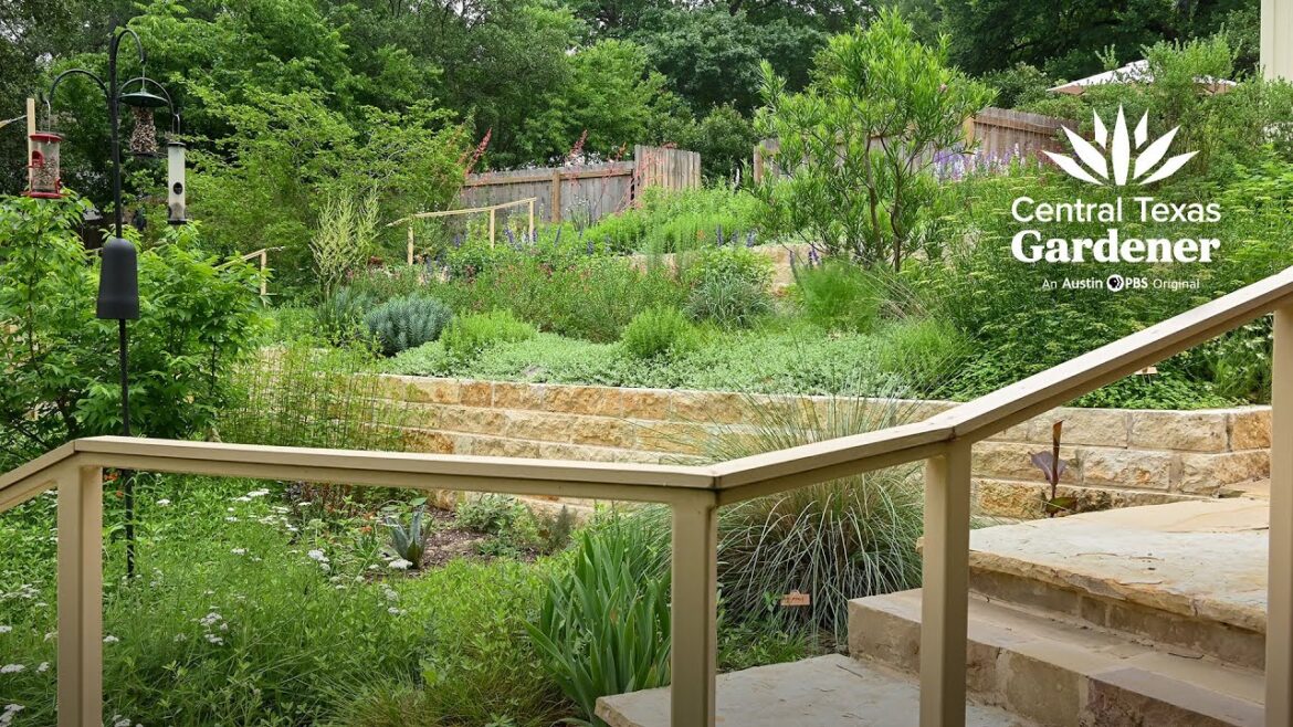 Garden Design: Plant Communities for Wildlife Garden Design: Plant Communities for Wildlife