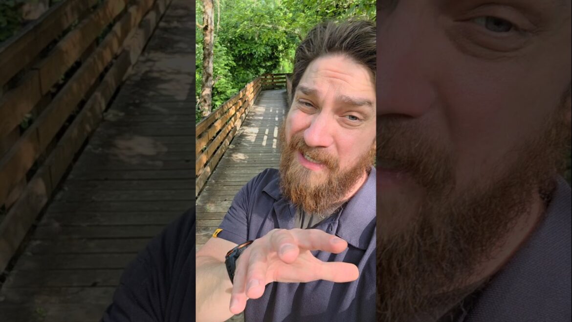 Foraging Wild Rose – are roses edible? can you eat roses, yes! #Foraging ##wildedibles Foraging Wild Rose - are roses edible? can you eat roses, yes! #Foraging ##wildedibles