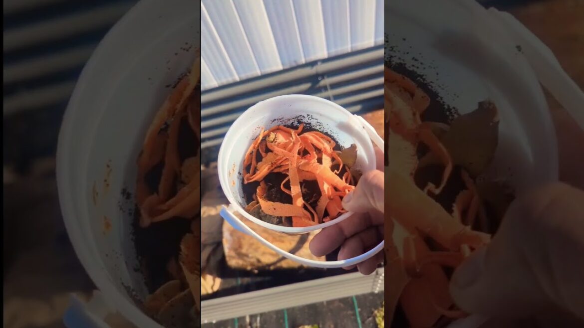 Filling 12 Ft Raised bed for FREE ! #organic #gardening #viral #shorts Filling 12 Ft Raised bed for FREE ! #organic #gardening #viral #shorts