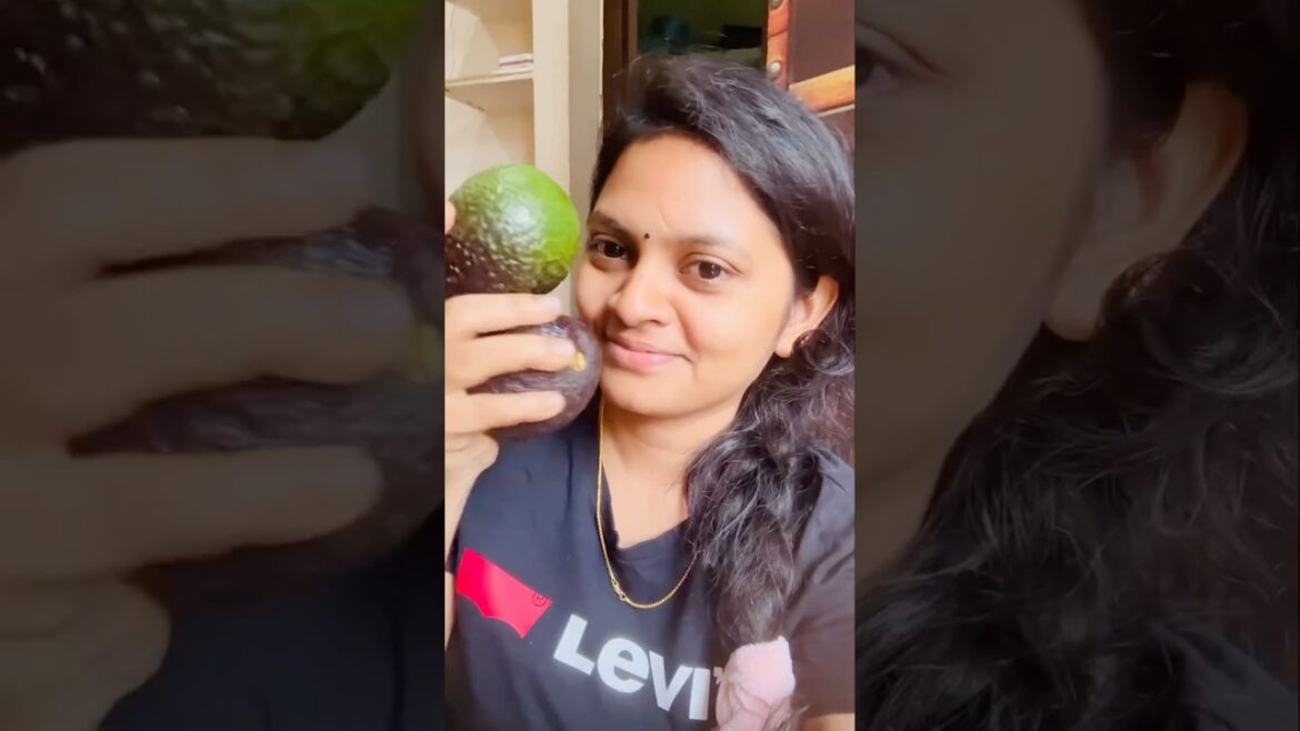 Avocado Plant Development from Scratch 🌱✨❤️ #avacados #plants #scratch #minivlog #plantlover #yts Avocado Plant Development from Scratch 🌱✨❤️ #avacados #plants #scratch #minivlog #plantlover #yts