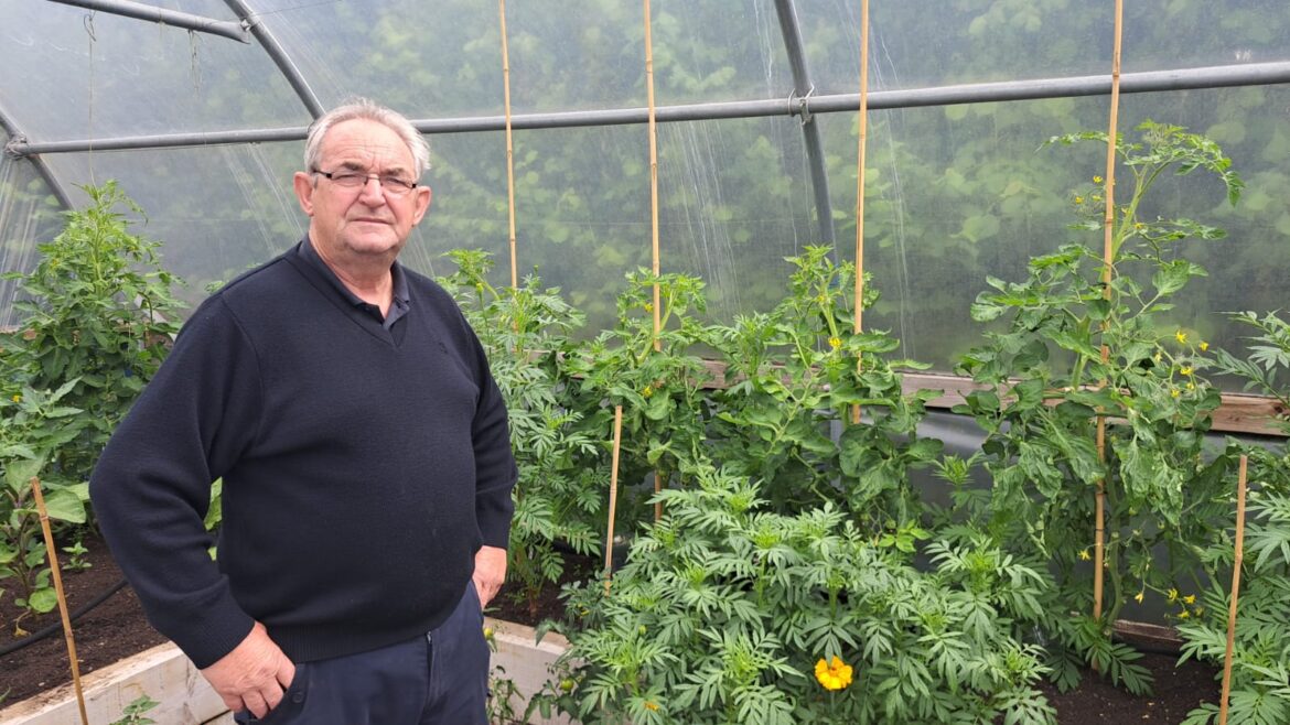 GREEN GIANT: Sean at the Colin Community allotments