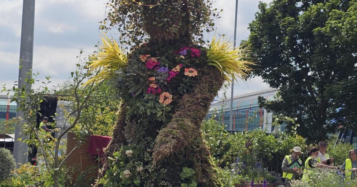 Wiltshire garden designer wins gold at BBC Gardeners’ World Wiltshire garden designer wins gold at BBC Gardeners' World