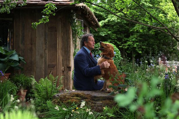 Gardener Monty Don poses with his dog Ned, a Golden Retriever, in his dog-friendly garden, during the preview day at the RHS Chelsea Flower show, in London, on May 19, 2025. Sweet potatoes sprouting among flowers, talking trees powered by AI and drought resistant crops, the prestigious Chelsea Flower Show is facing the future focusing on innovation and climate change adaptation. (Photo by Adrian Dennis / AFP) (Photo by ADRIAN DENNIS/AFP via Getty Images)