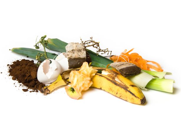 Food scraps