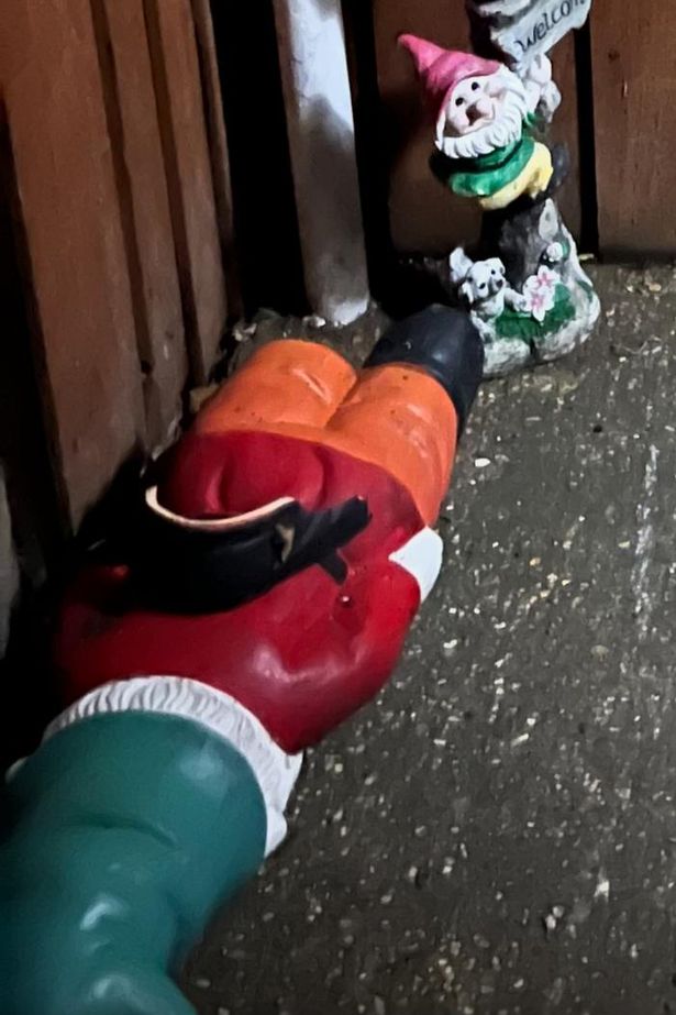 The garden gnome suffered a broken leg