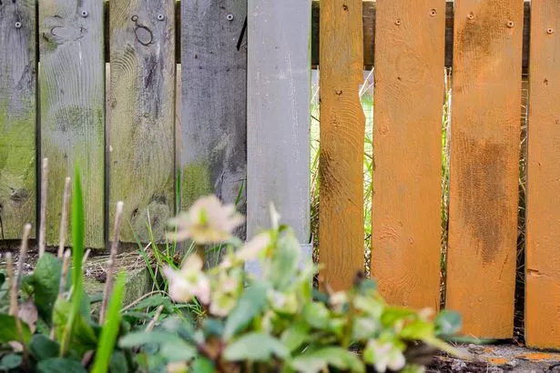 Garden fencing, painted, old