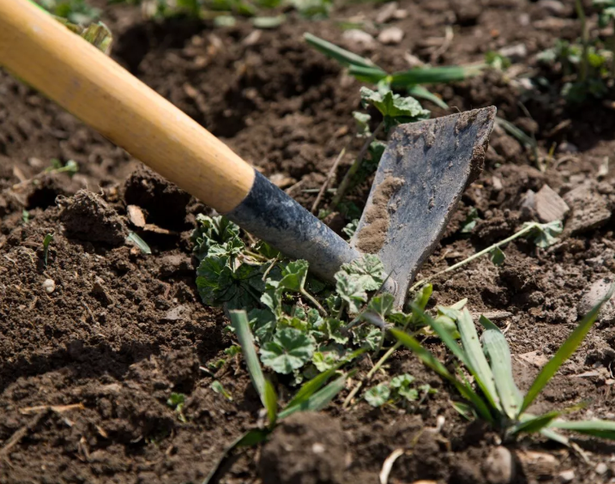 Garden tool shovelling into dirt