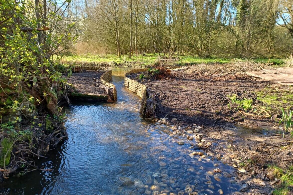 Luxury garden building company backs restoration of Norfolk chalk stream Eastern Daily Press