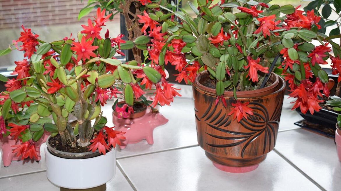 Yahoo lifestyle home