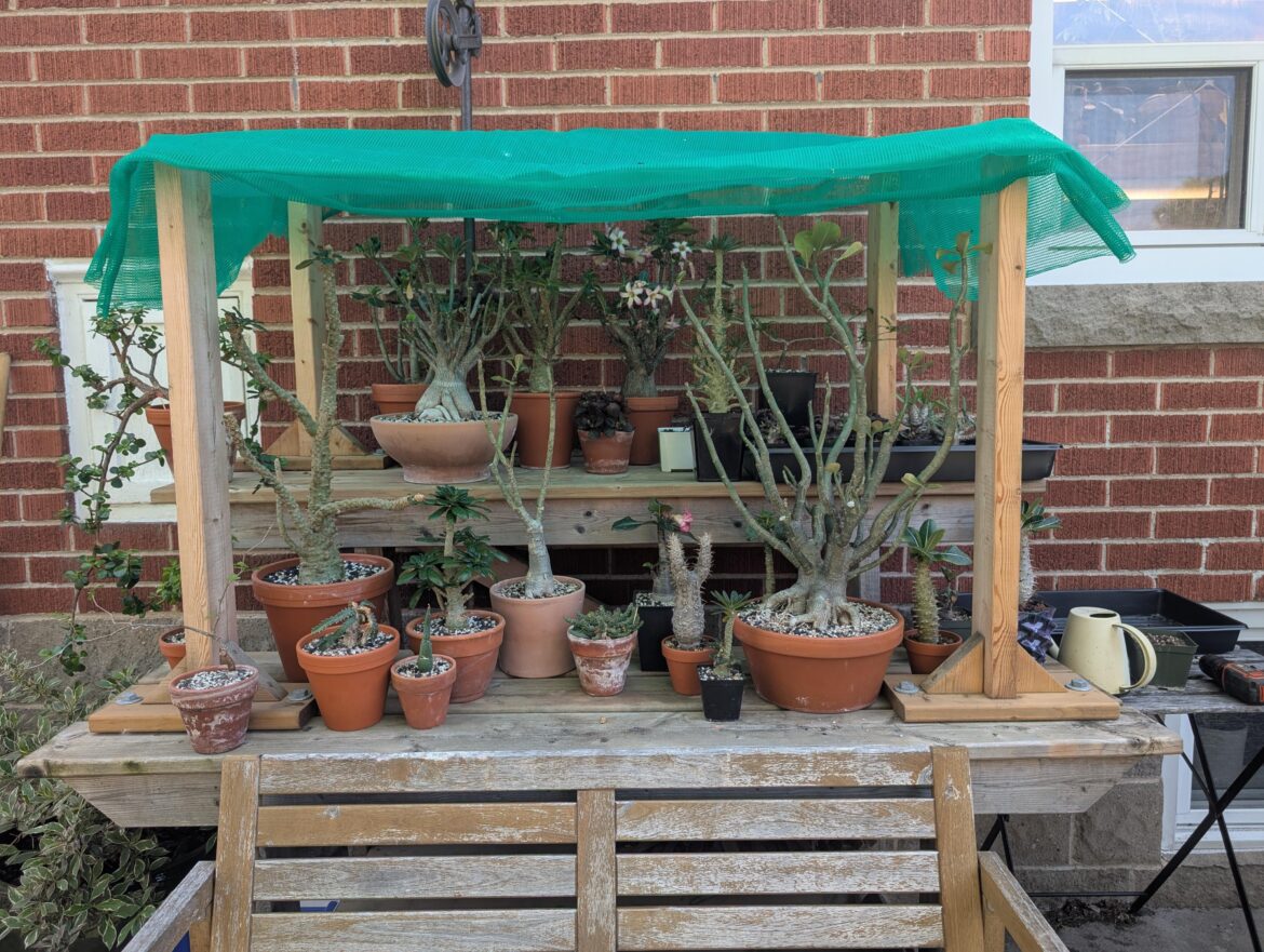 After a False Start, Everyone is Back Outside for Summer!