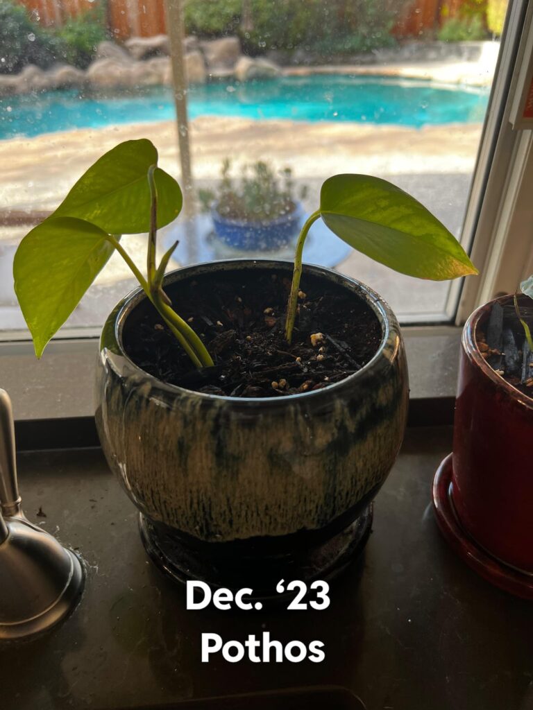 Patience paid off