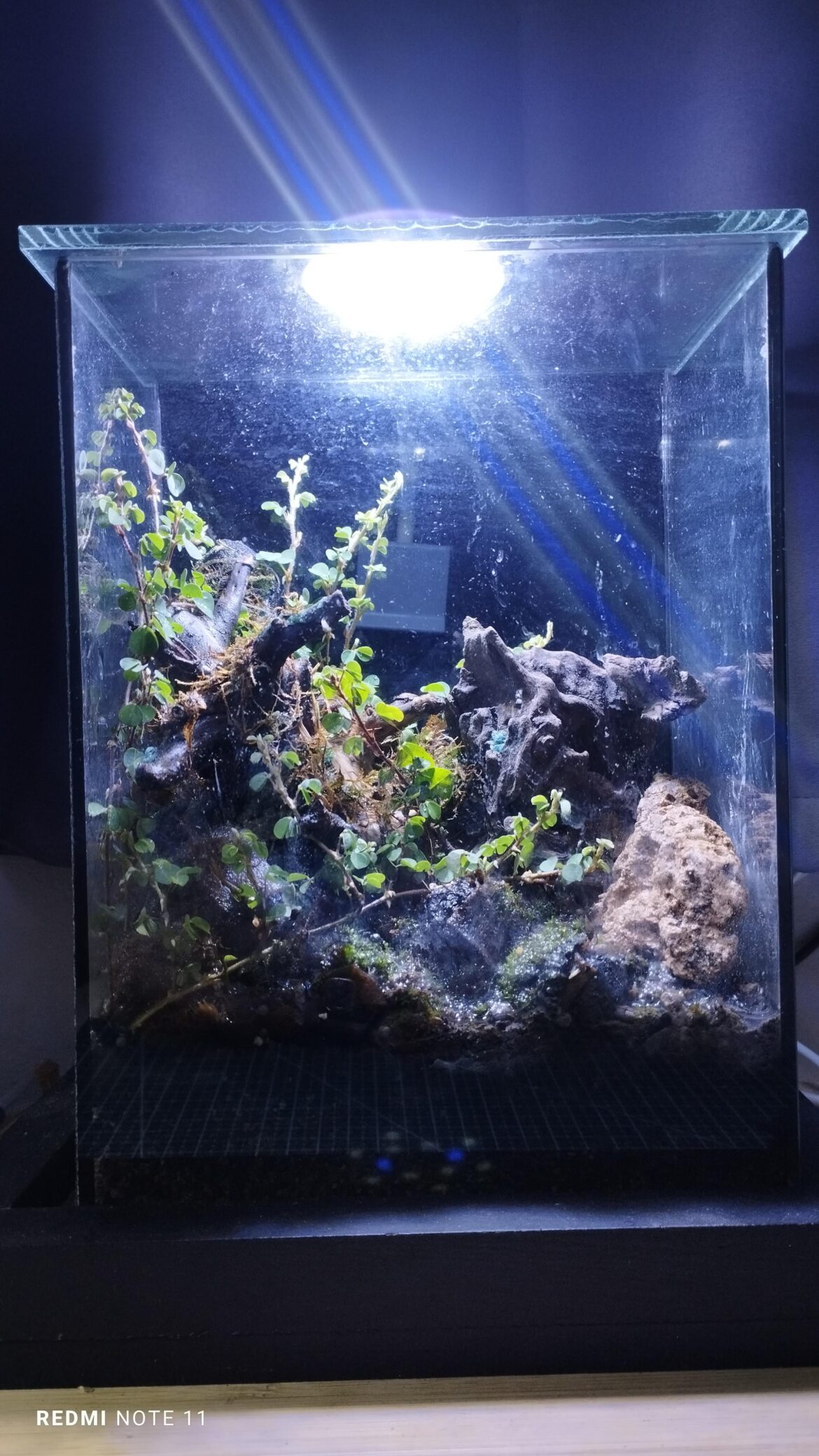 Mini terrace