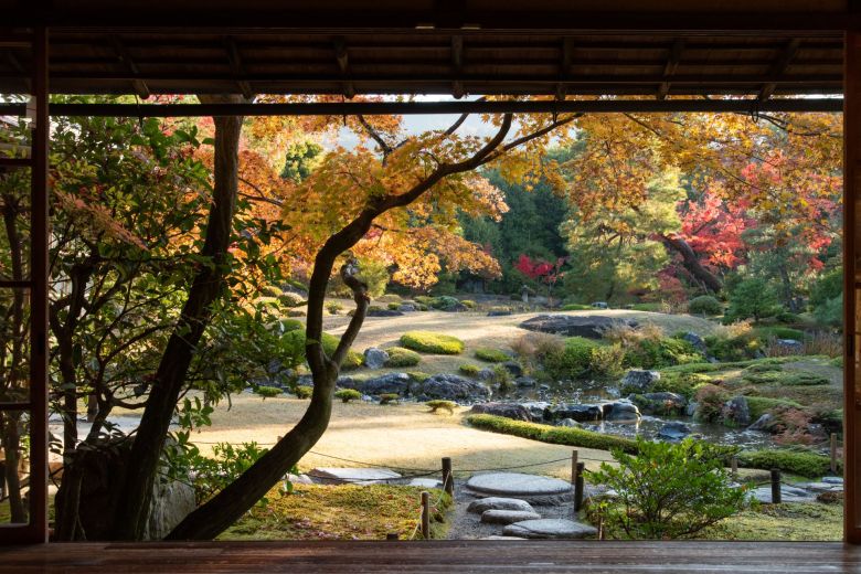 Vantage point of the Murin-an garden in Kyoto the researchers used for the experiment in summer. Credit: Ueya Kato Zoen.