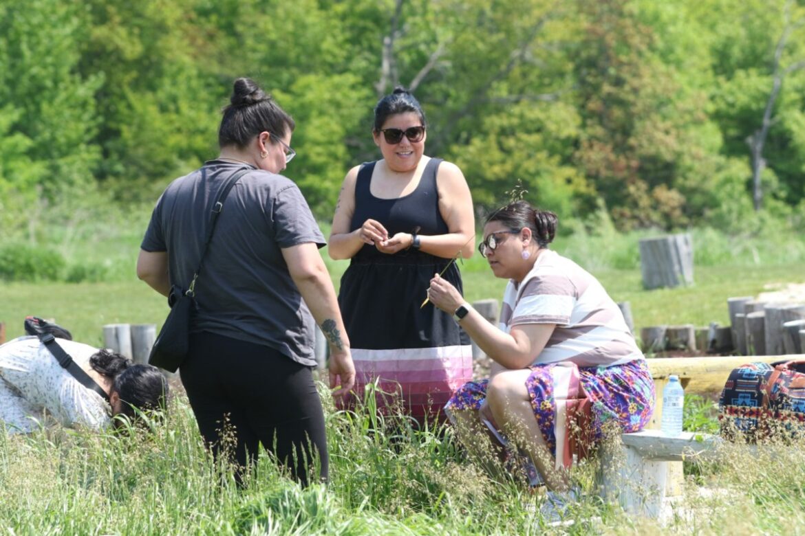 Here's how a garden is helping those involved with the justice system