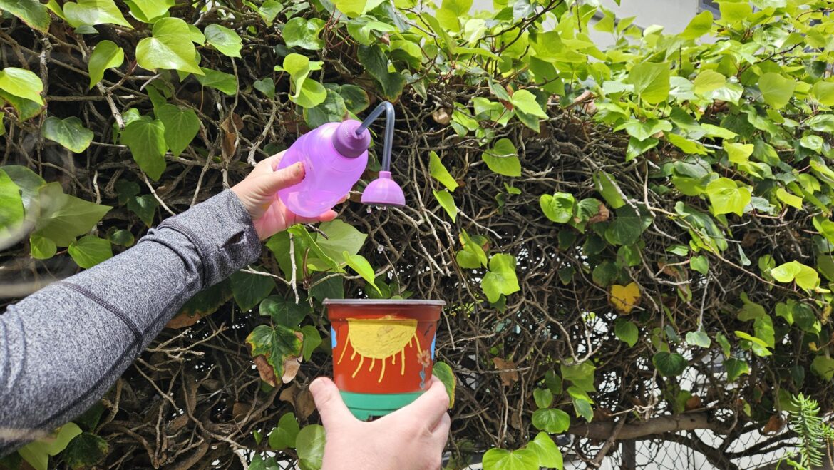 Healing garden workshop cultivates mental wellness