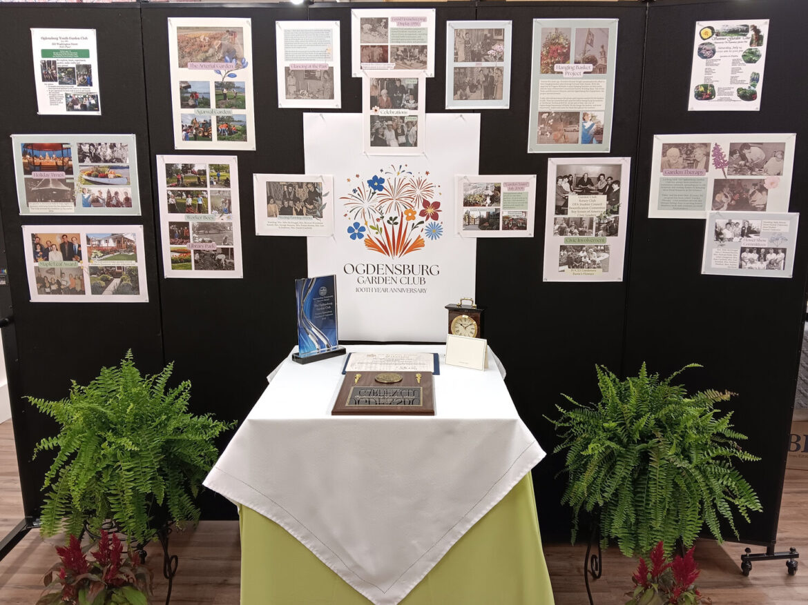 Ogdensburg Garden Club celebrates centennial milestone with historic display at museum