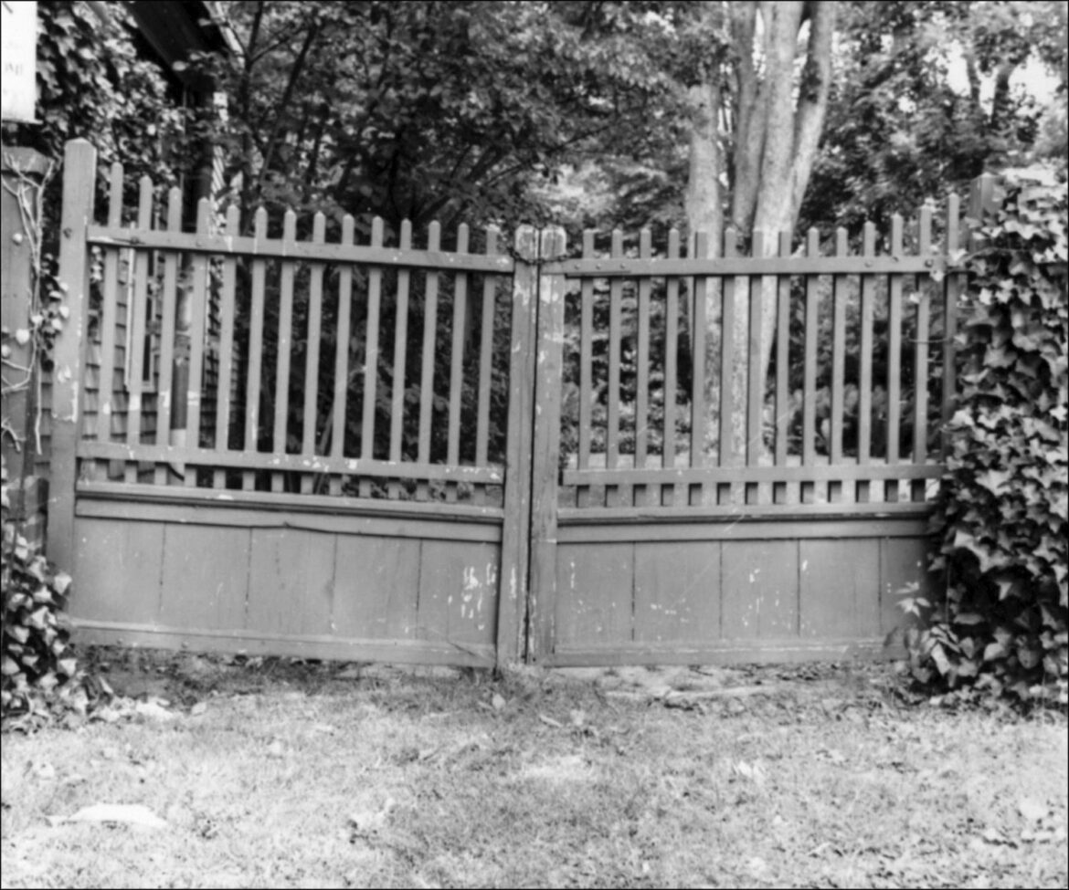 Item of the Week: The Hemerocallis Garden, 1962 Item of the Week: The Hemerocallis Garden, 1962