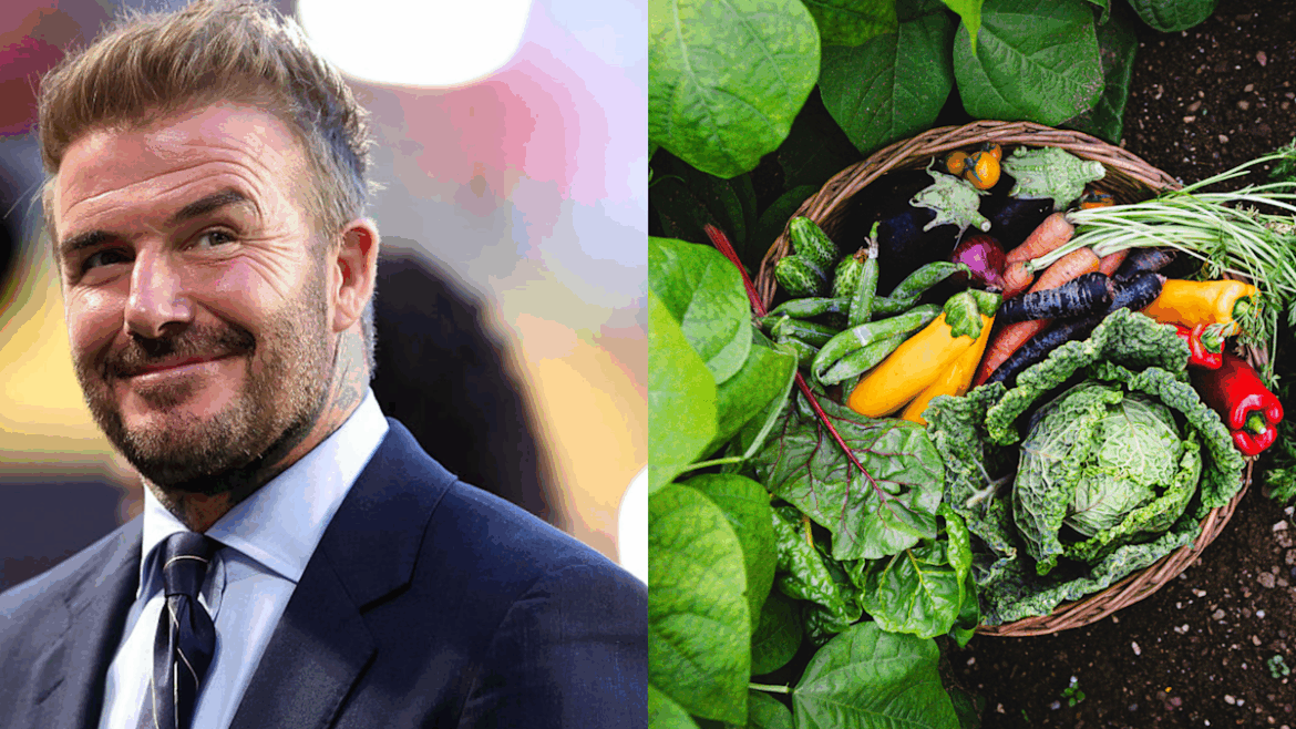 Yahoo entertainment home