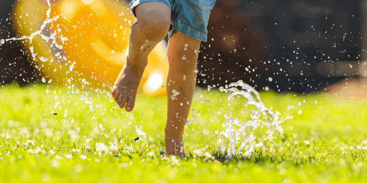 Gardeners Urged To Clear These Items From Their Lawns