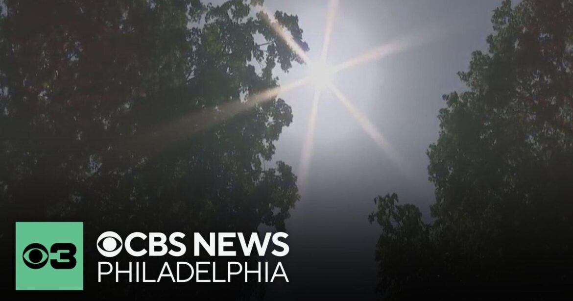 Bartram's Garden teams up with city to extend Philadelphia's tree canopy, fight climate change