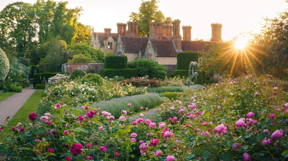 A garden of 21st-century delights A garden of 21st-century delights