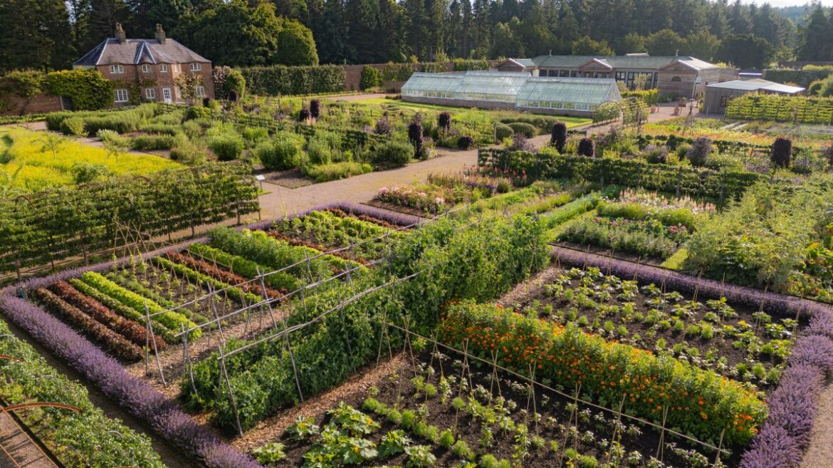 The UK’s best kitchen gardens worth planning a foodie trip around The UK’s best kitchen gardens worth planning a foodie trip around