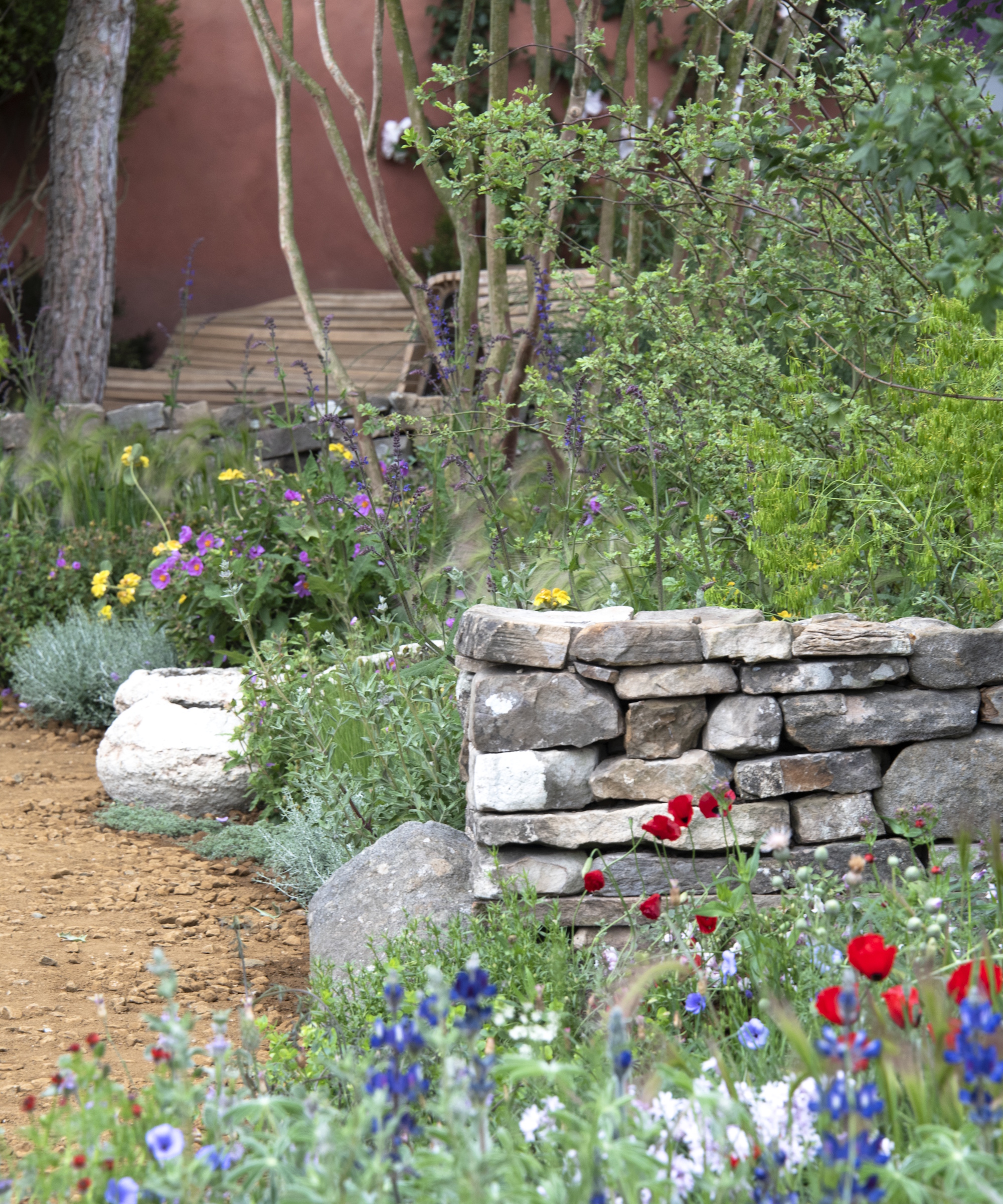 Stone wall surrounded by wildflower poppies and cornflowers in a show garden at the Chelsea Flower Show 2025