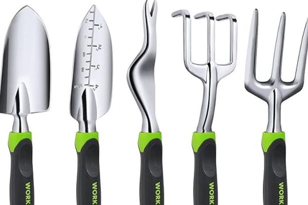 The tools have been reduced for a limited time only