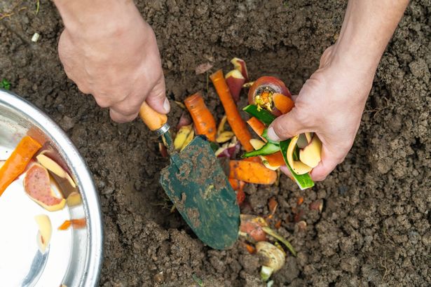 Man making compost from leftovers at back yard. Sustainable lifestyle and zero waste cooking concept.