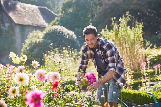 Man in garden