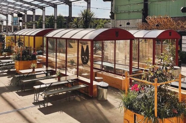 Sub Rosa is back for summer