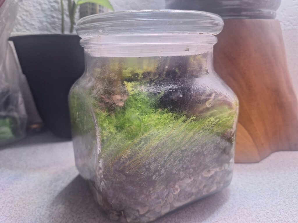 Where to start??