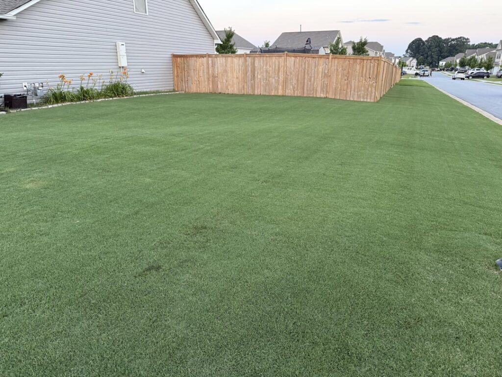 Rate my lawn