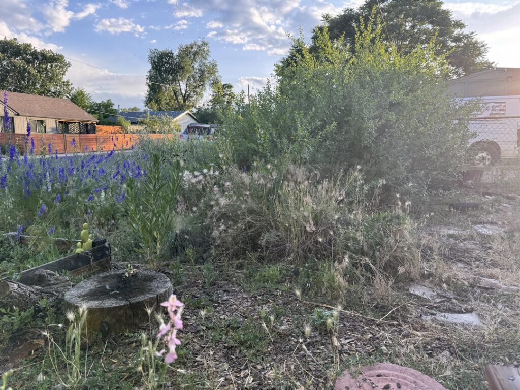 Camouflaged