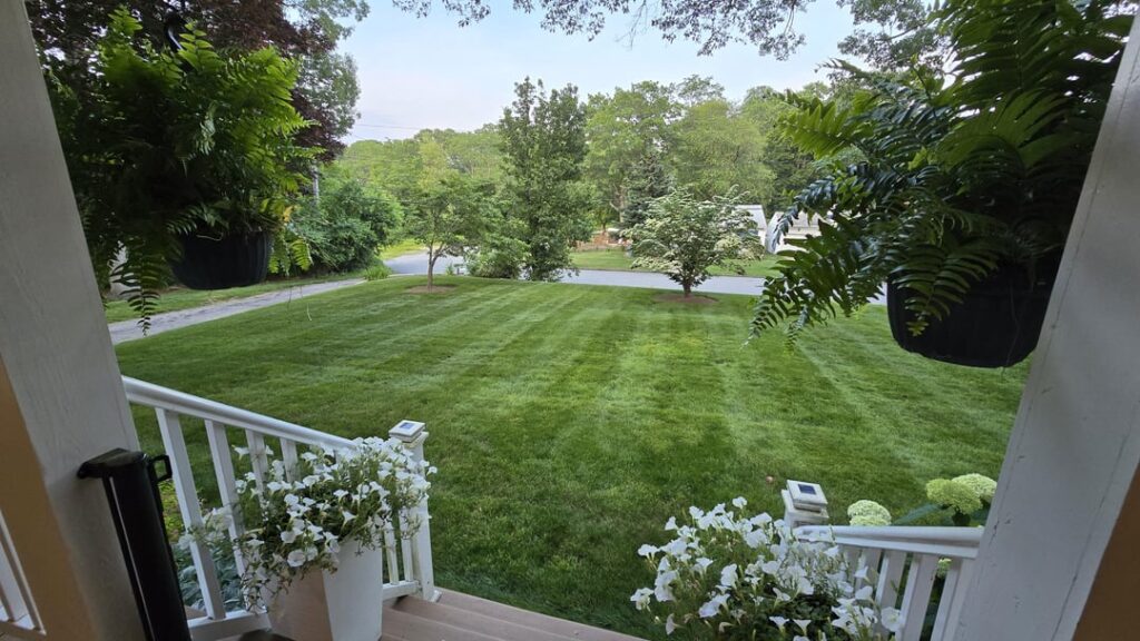 Been a struggle but finally getting there!