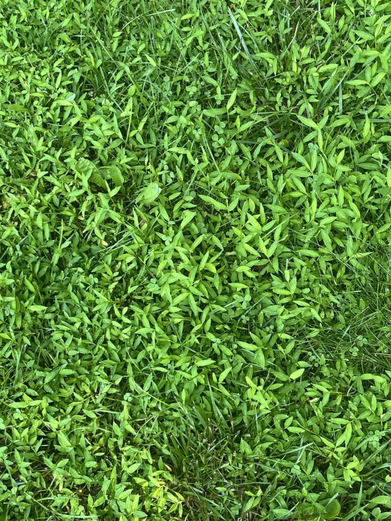 What are these and should I get rid of it?