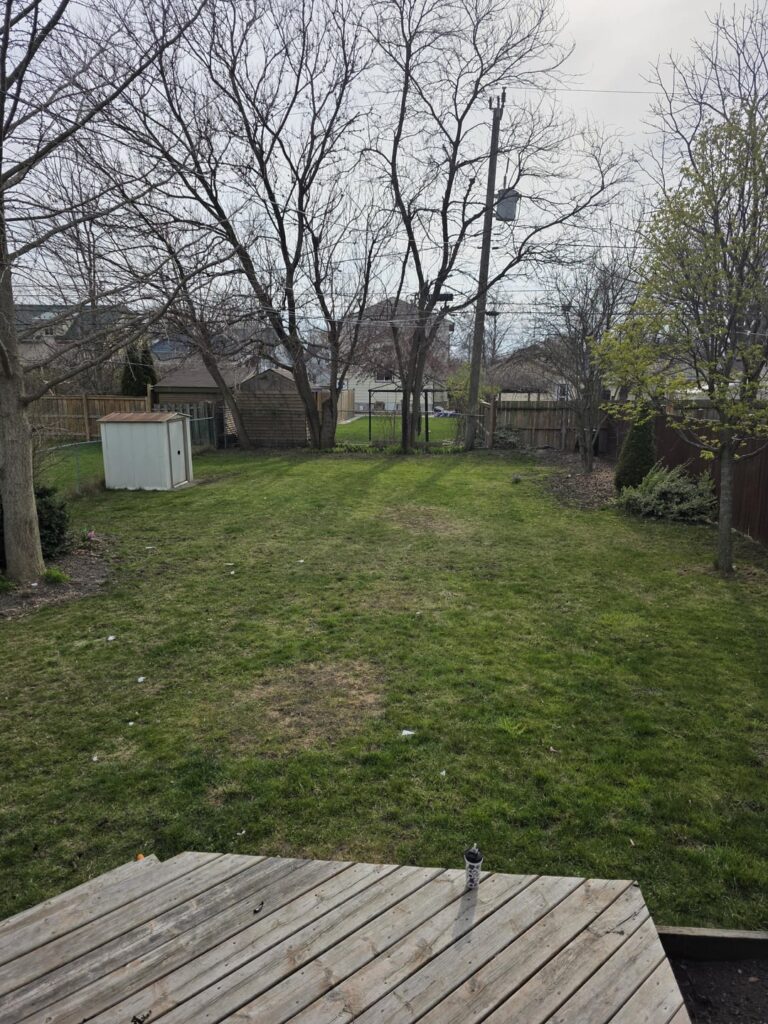 Thanks to the sub, I made my yard way better in just one spring Thanks to the sub, I made my yard way better in just one spring