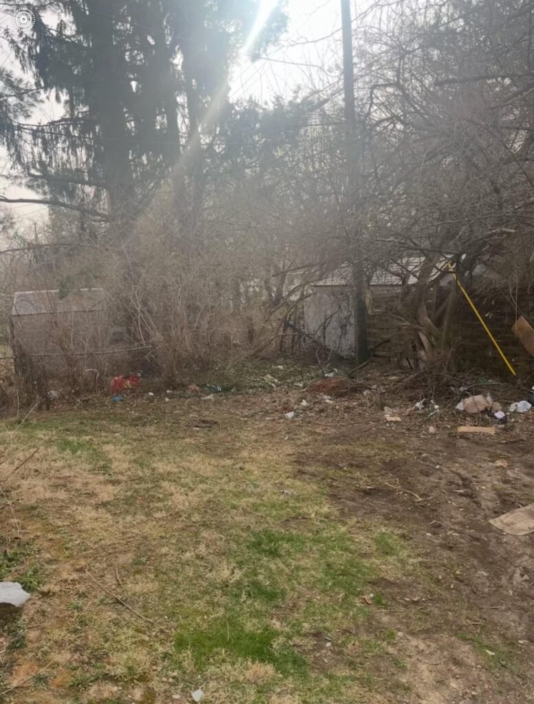 Total transformation