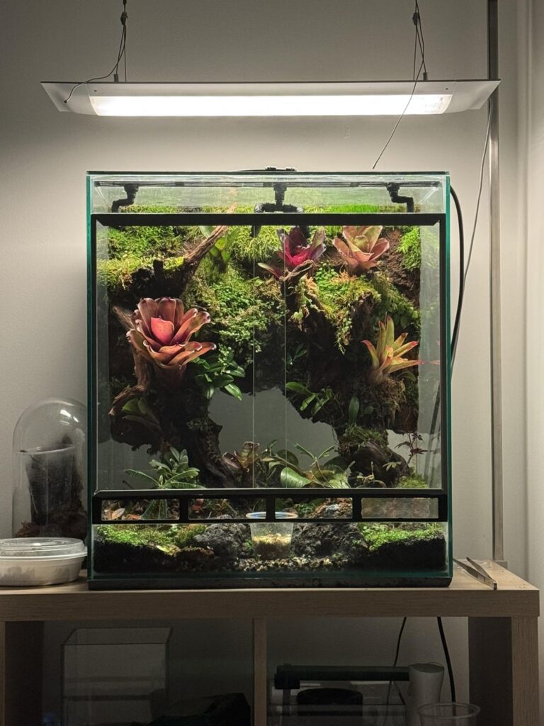 Vivarium