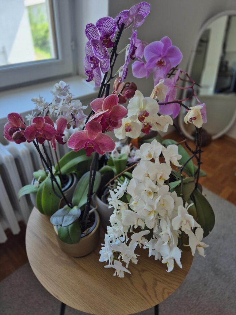 My Phals 🥰