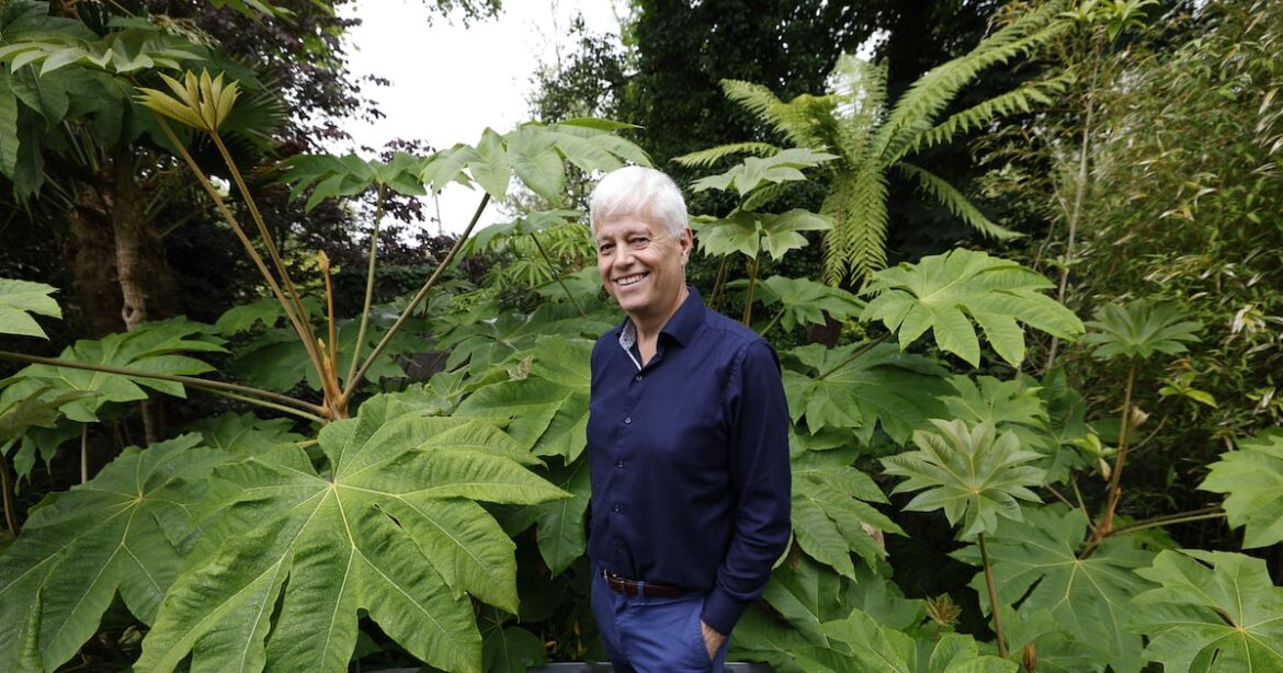 Stay with a Chelsea Flower Show gold-medal gardener at his seaside retreat in Kerry – The Irish Times