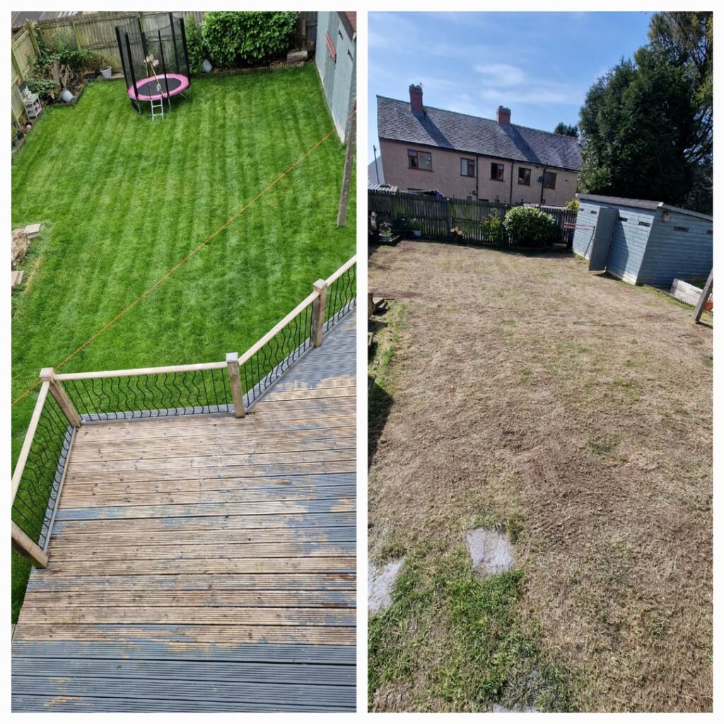 Scarified and re-seeded my lawn, was about 70% moss.