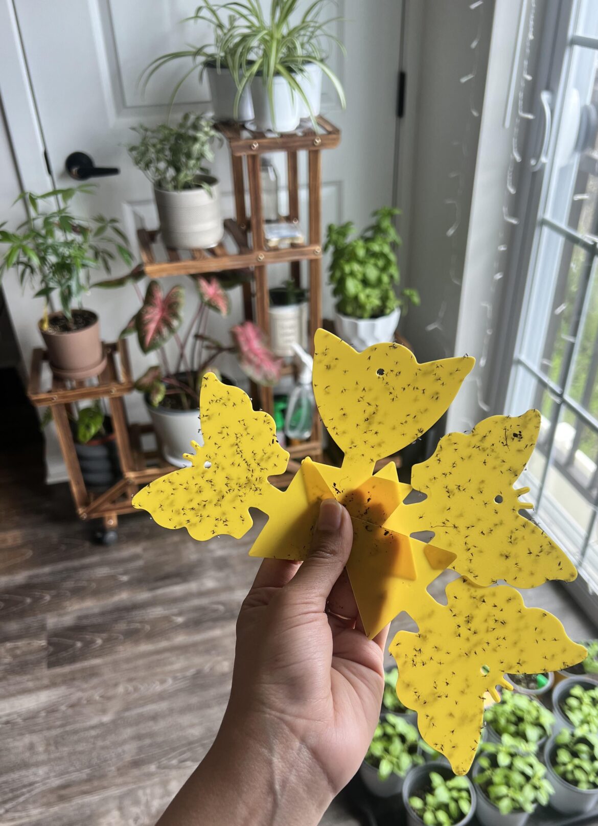 This st is getting out of control This s**t is getting out of control