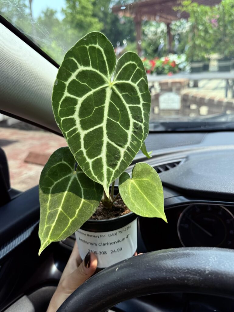 I didn’t realize how much I wanted one of these til I saw them person